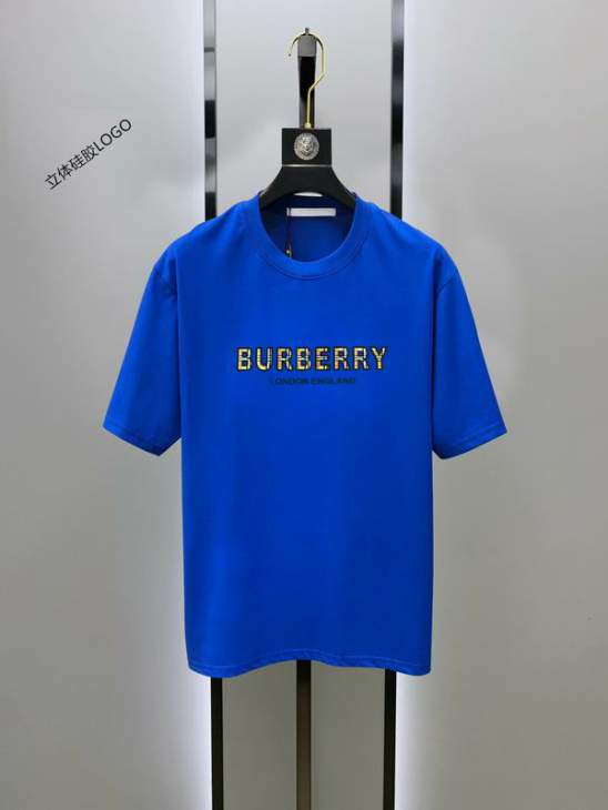 Picture of Burberry T Shirts Short _SKUBurberryS-2XL25cr1419980